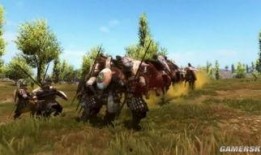 热门爆料骑马视频,背后的故事与精彩瞬间